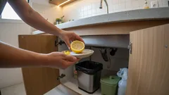 ¿Insectos molestos invaden tu cocina? Aquí tienes una forma natural de eliminarlos