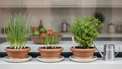 Tips para un mini huerto casero: cebolla, ajo verde y menta todo el año