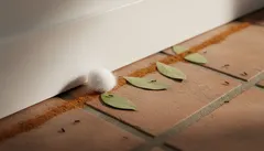 Pata de gato blanca jugando bajo una puerta en piso de baldosas con hojas secas.